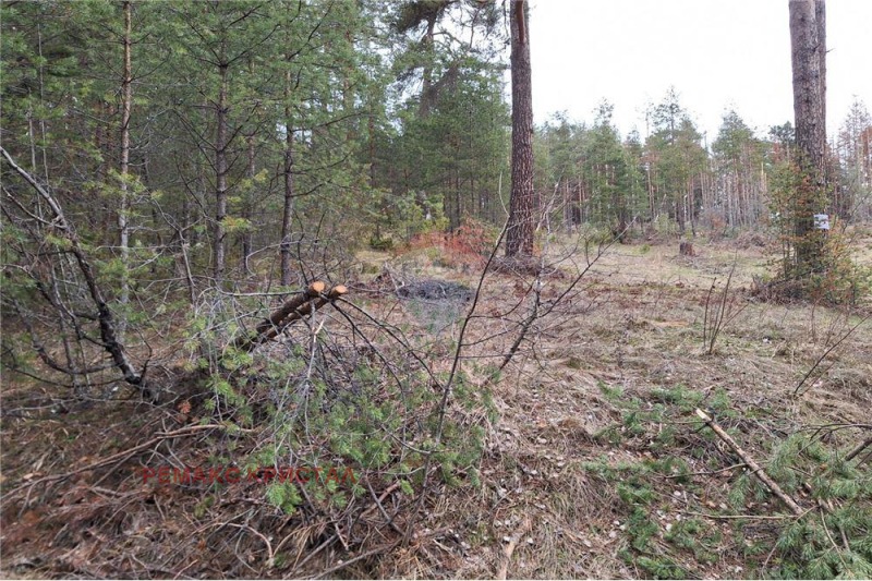 Продава ПАРЦЕЛ, гр. Батак, област Пазарджик, снимка 10 - Парцели - 53590286