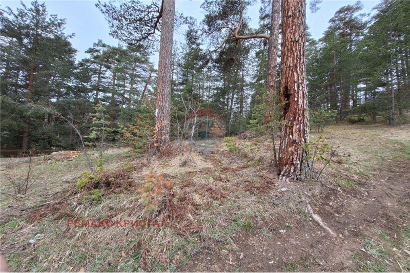 Продава ПАРЦЕЛ, гр. Батак, област Пазарджик, снимка 5 - Парцели - 53590286