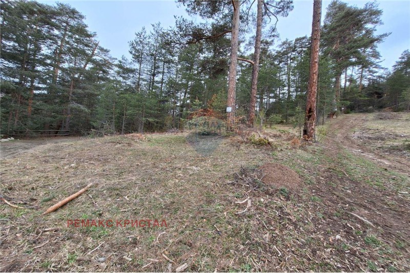 Продава ПАРЦЕЛ, гр. Батак, област Пазарджик, снимка 4 - Парцели - 53590286