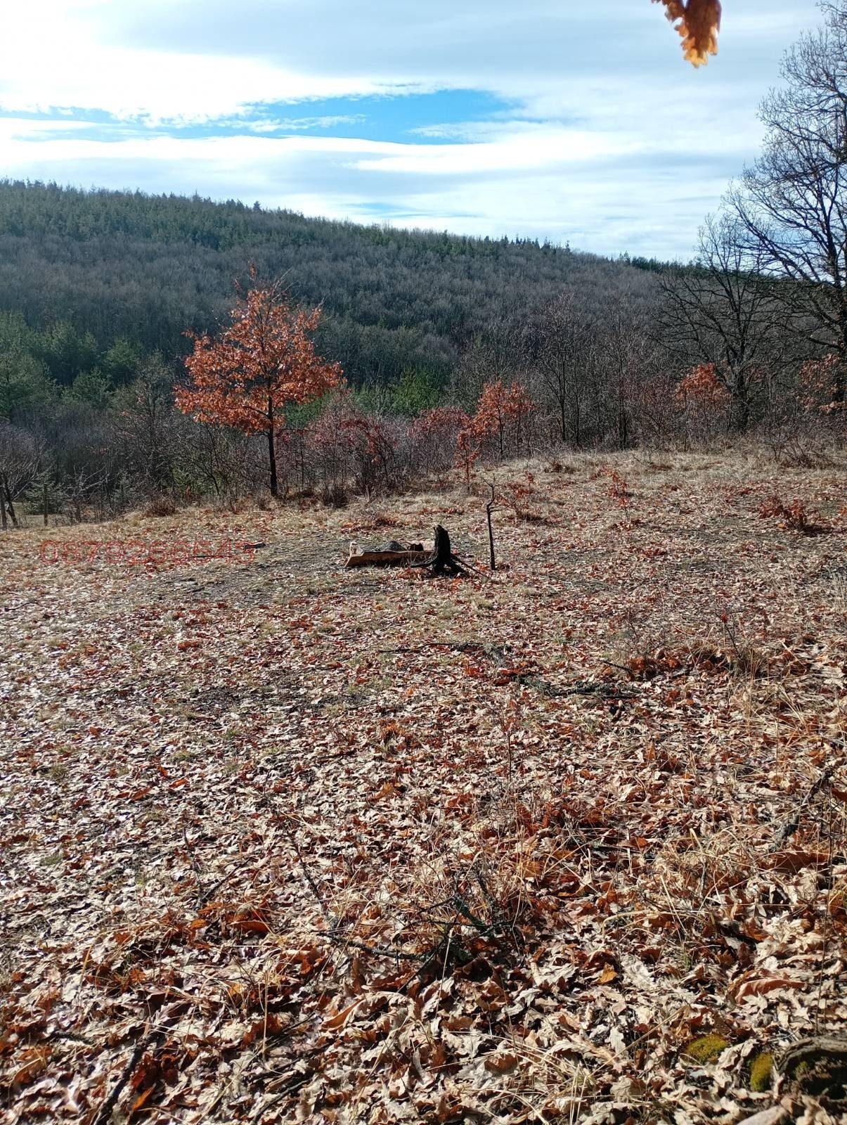 Продава ПАРЦЕЛ, с. Дръмша, област София област, снимка 3 - Парцели - 54199993