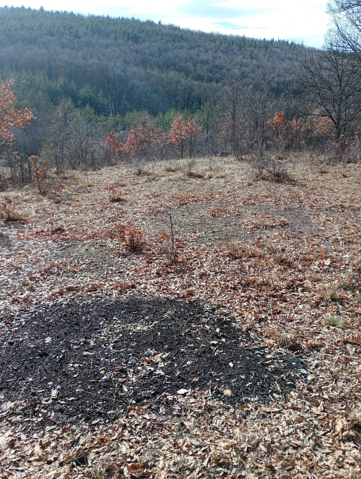 Продава ПАРЦЕЛ, с. Дръмша, област София област, снимка 5 - Парцели - 54199993