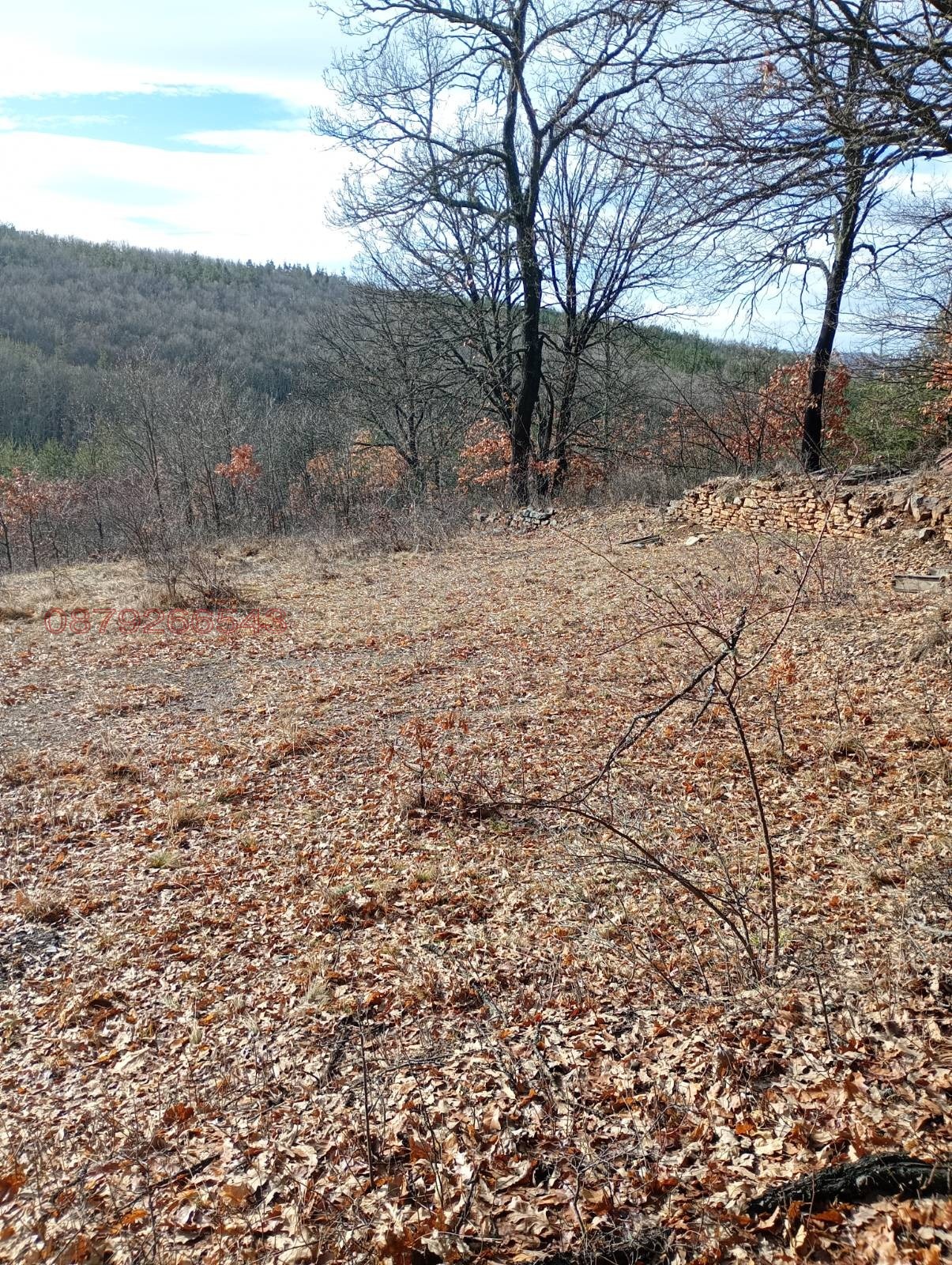 Продава ПАРЦЕЛ, с. Дръмша, област София област, снимка 6 - Парцели - 54199993