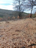 Продава ПАРЦЕЛ, с. Дръмша, област София област, снимка 6