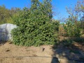 Продава  Парцел област Варна , гр. Игнатиево , 700 кв.м | 10984579 - изображение [3]