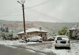 ����� ������� ����,�. �����, ������ ������