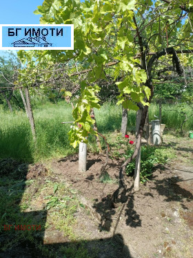 ������� ���� | Imot.bg � ����� ������ 16