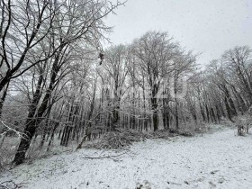 Парцел град Варна, Аспарухово 6