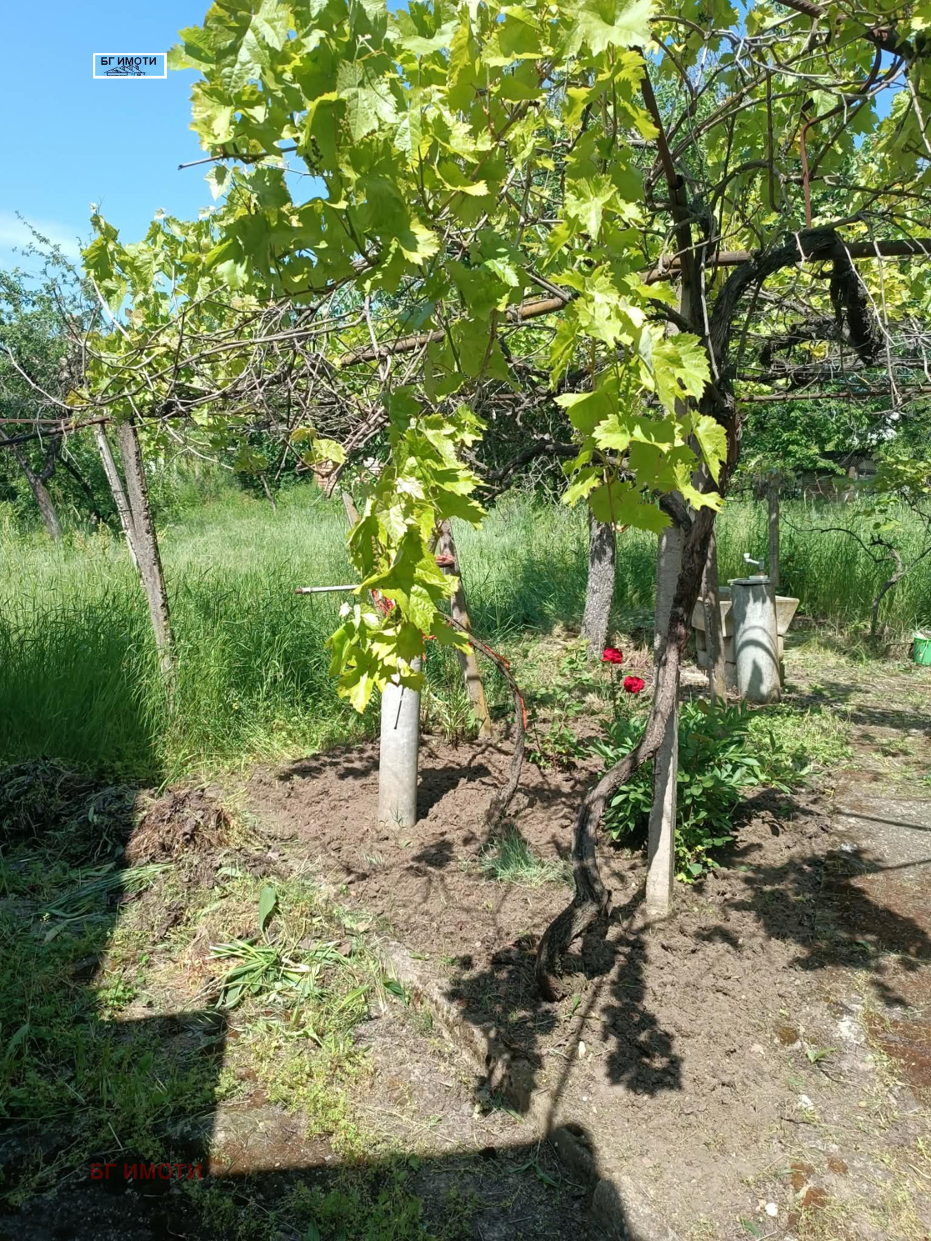 Продава КЪЩА, с. Баница, област Враца, снимка 16 - Къщи - 54629170