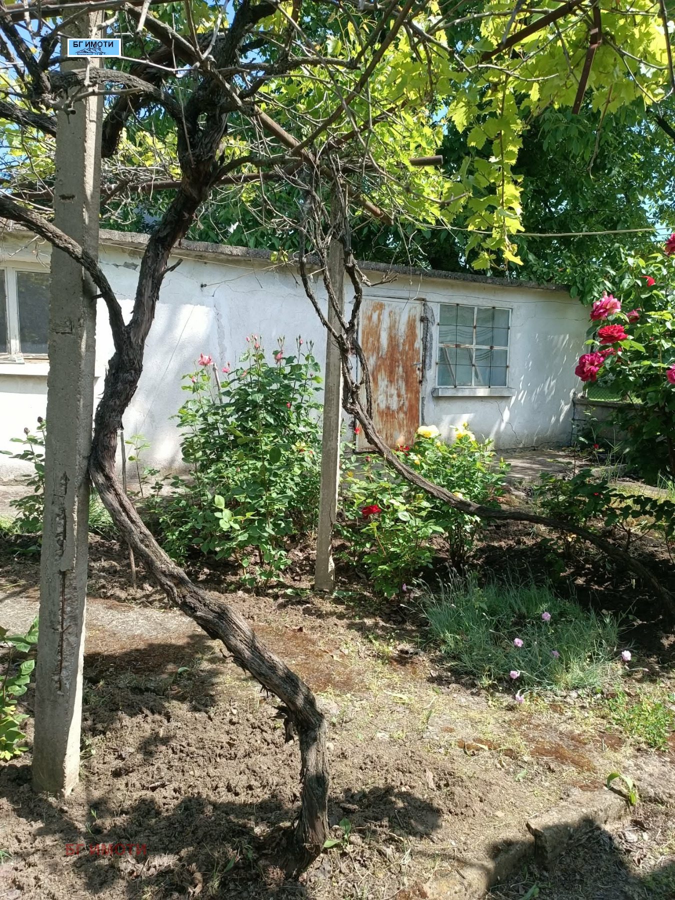 Продава КЪЩА, с. Баница, област Враца, снимка 12 - Къщи - 54629170