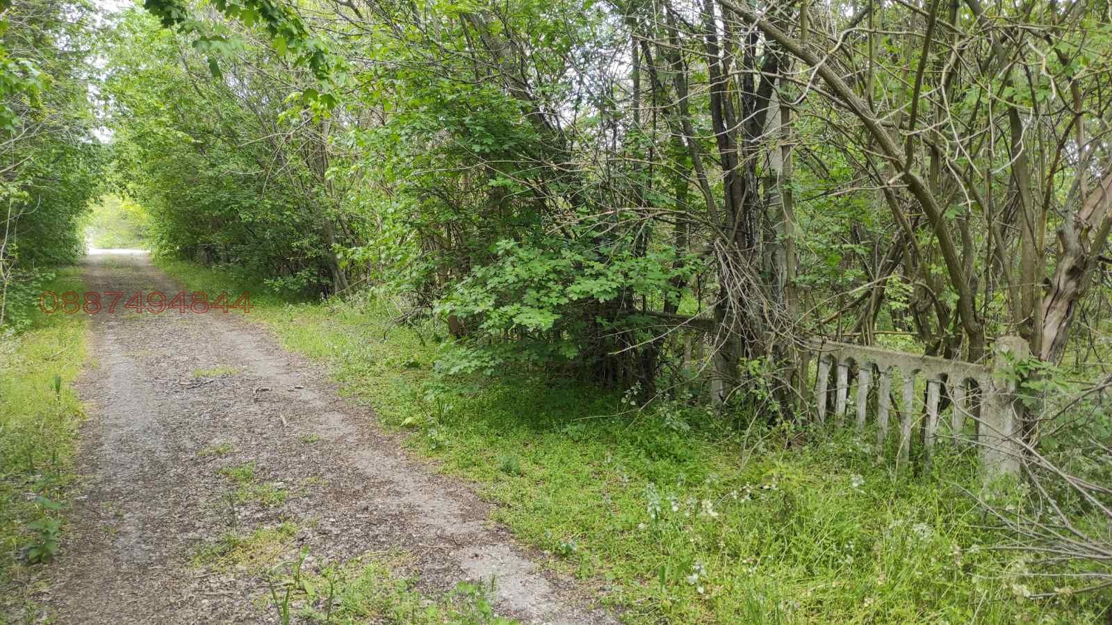 Продава ПАРЦЕЛ, с. Ломница, област Добрич, снимка 4 - Парцели - 53834800