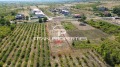 Продава ПАРЦЕЛ, област Пловдив, с. Брестник • 132000 € • 43120028 — Holmes.bg