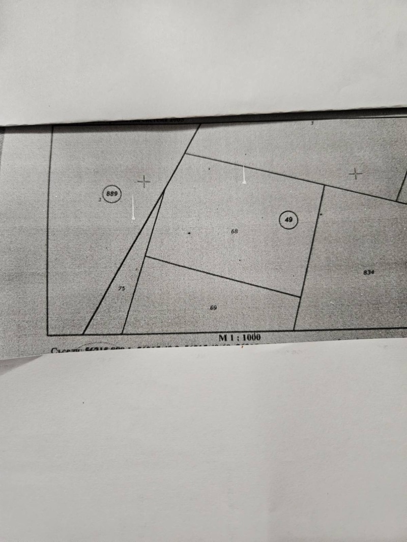 Продава ПАРЦЕЛ в област София, с. Петърч - 3937 кв.м / 59 055 € » 115 501.54 лв., ОАНИТ - ОФИС ДОМ ТОВИСТО