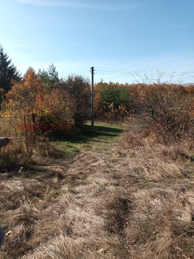 Продава ПАРЦЕЛ, с. Крушовица, област София област, снимка 4 - Парцели - 52868269