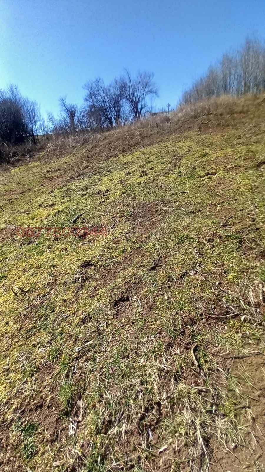 ������� ������ | Imot.bg � ����������� 5