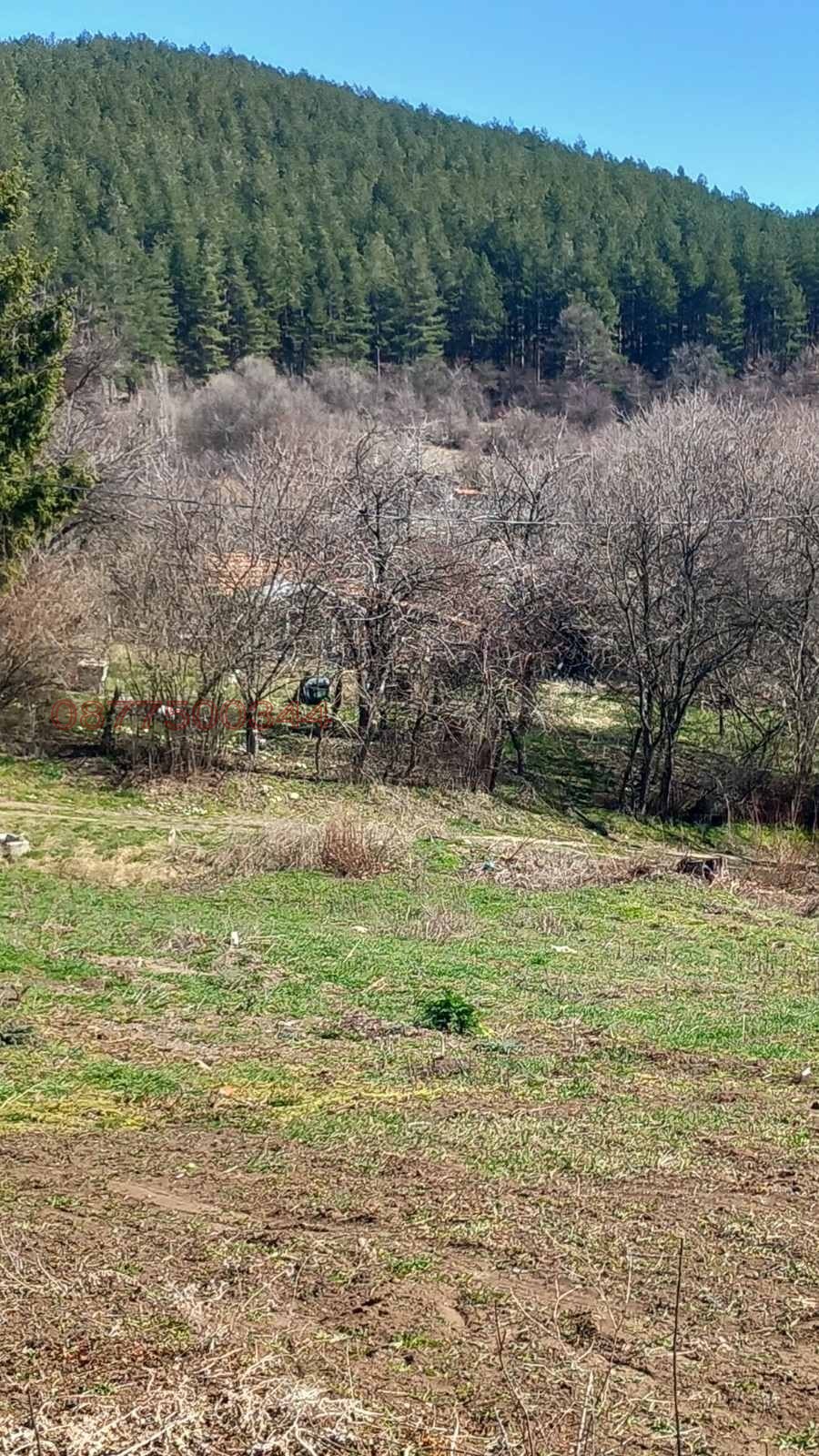 ������� ������ | Imot.bg � ����������� 4