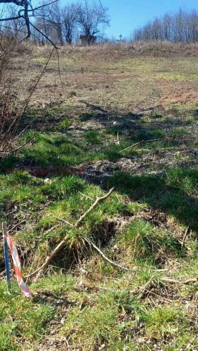 ������� ������ | Imot.bg � ����� ������ 10