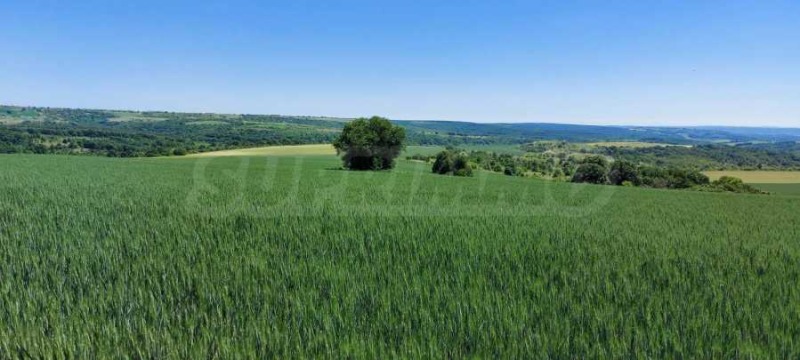 Продава  Парцел област Варна , с. Здравец , 14465 кв.м | 91862770