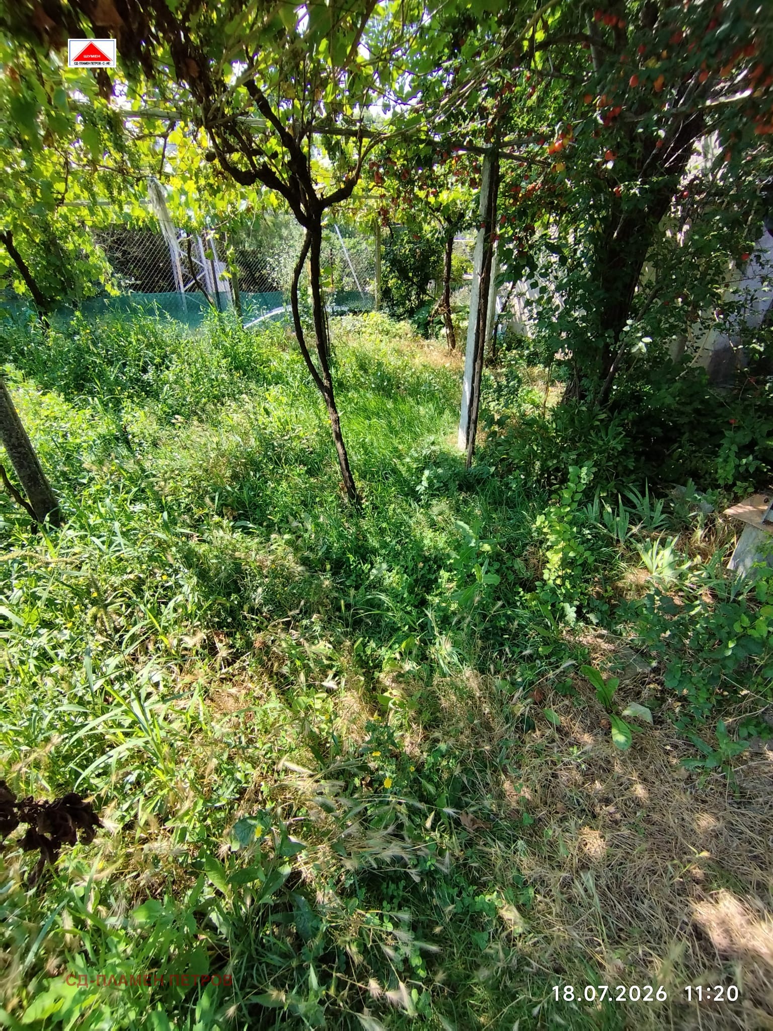 Продава КЪЩА, с. Златар, област Шумен, снимка 7 - Къщи - 55376304