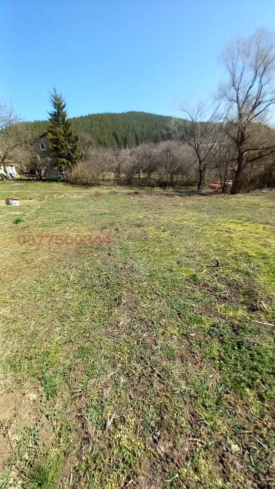 Продава ПАРЦЕЛ, с. Люлин, област Перник, снимка 5 - Парцели - 53718295