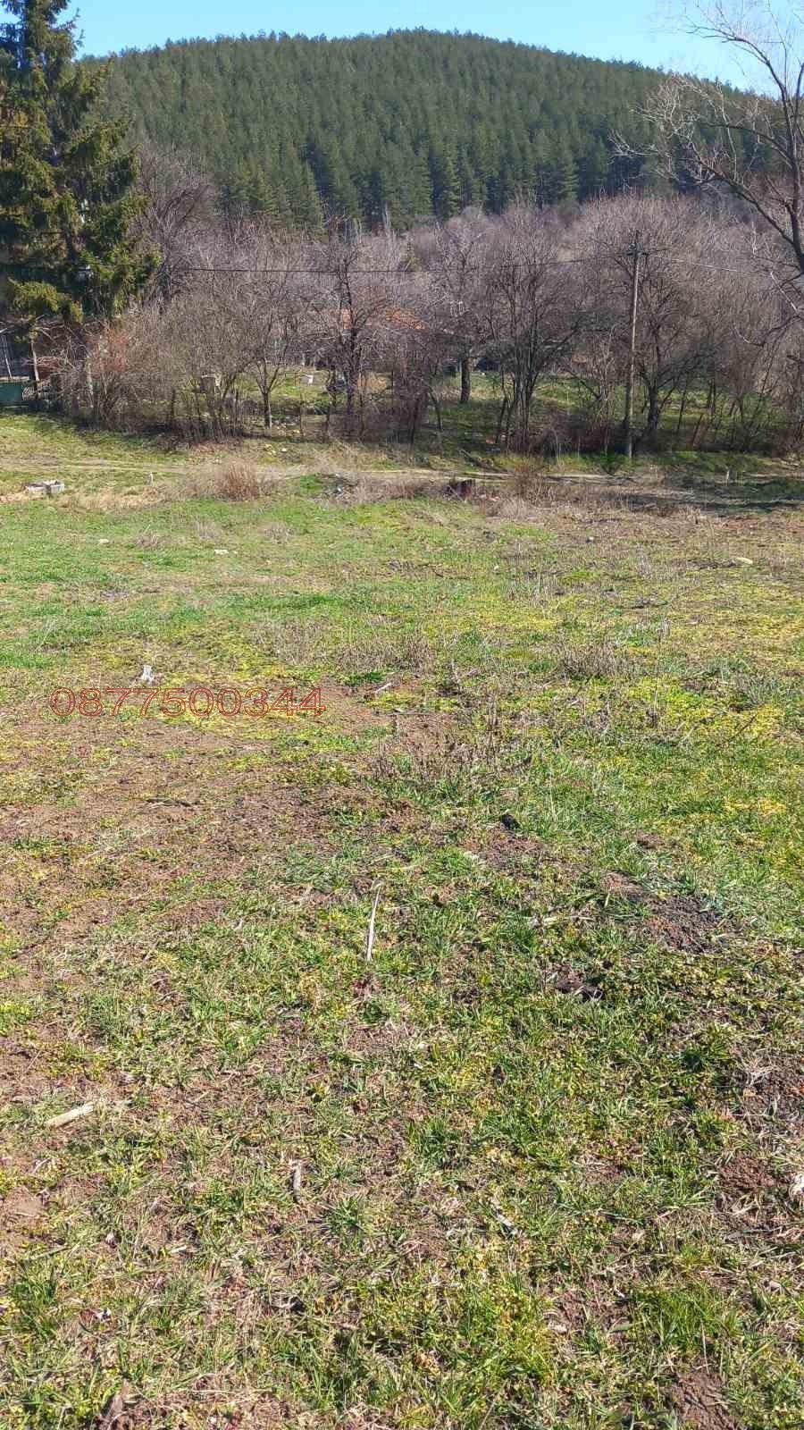 Продава ПАРЦЕЛ, с. Люлин, област Перник, снимка 6 - Парцели - 53718295