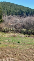 Продава ПАРЦЕЛ, с. Люлин, област Перник, снимка 3