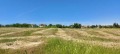 Продава ПАРЦЕЛ, област Варна, с. Здравец • 550000 € • 72346003 — Holmes.bg