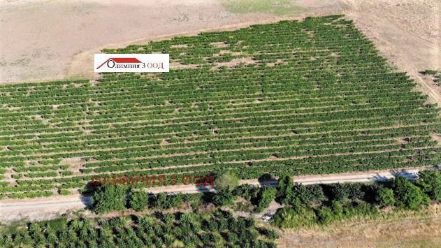 ������� ���������� ���� | Imot.bg � ����������� 15