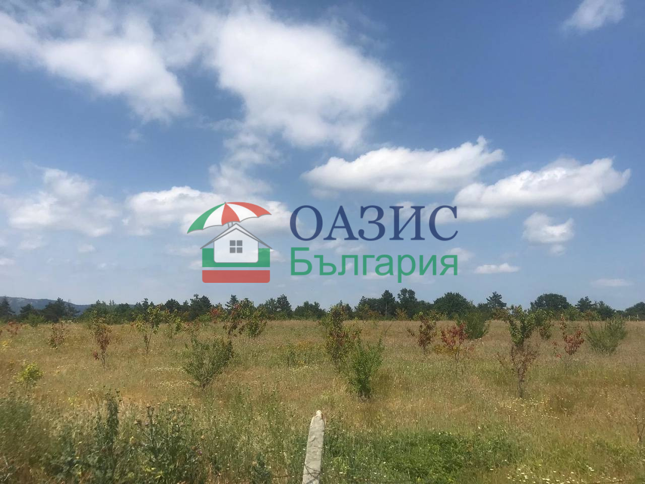 ������� ������ | Imot.bg � ����������� 4