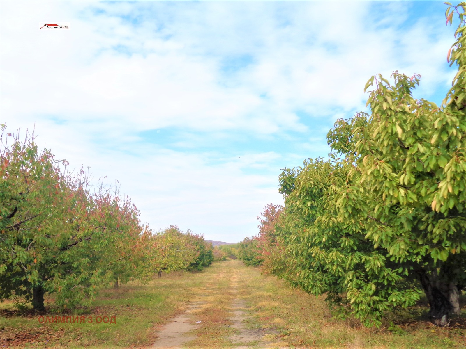 ������� ���������� ���� | Imot.bg � ����������� 11