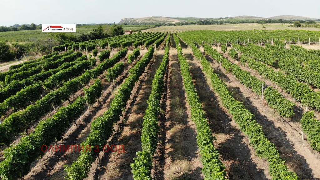 ������� ���������� ���� | Imot.bg � ����������� 14