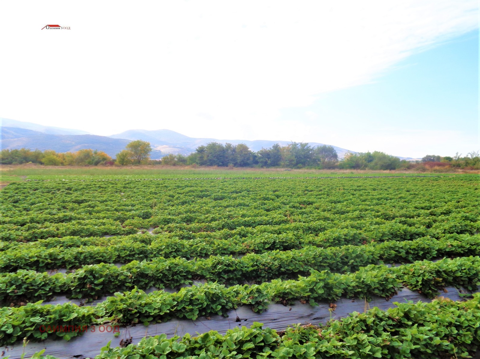 ������� ���������� ���� | Imot.bg � ����������� 10