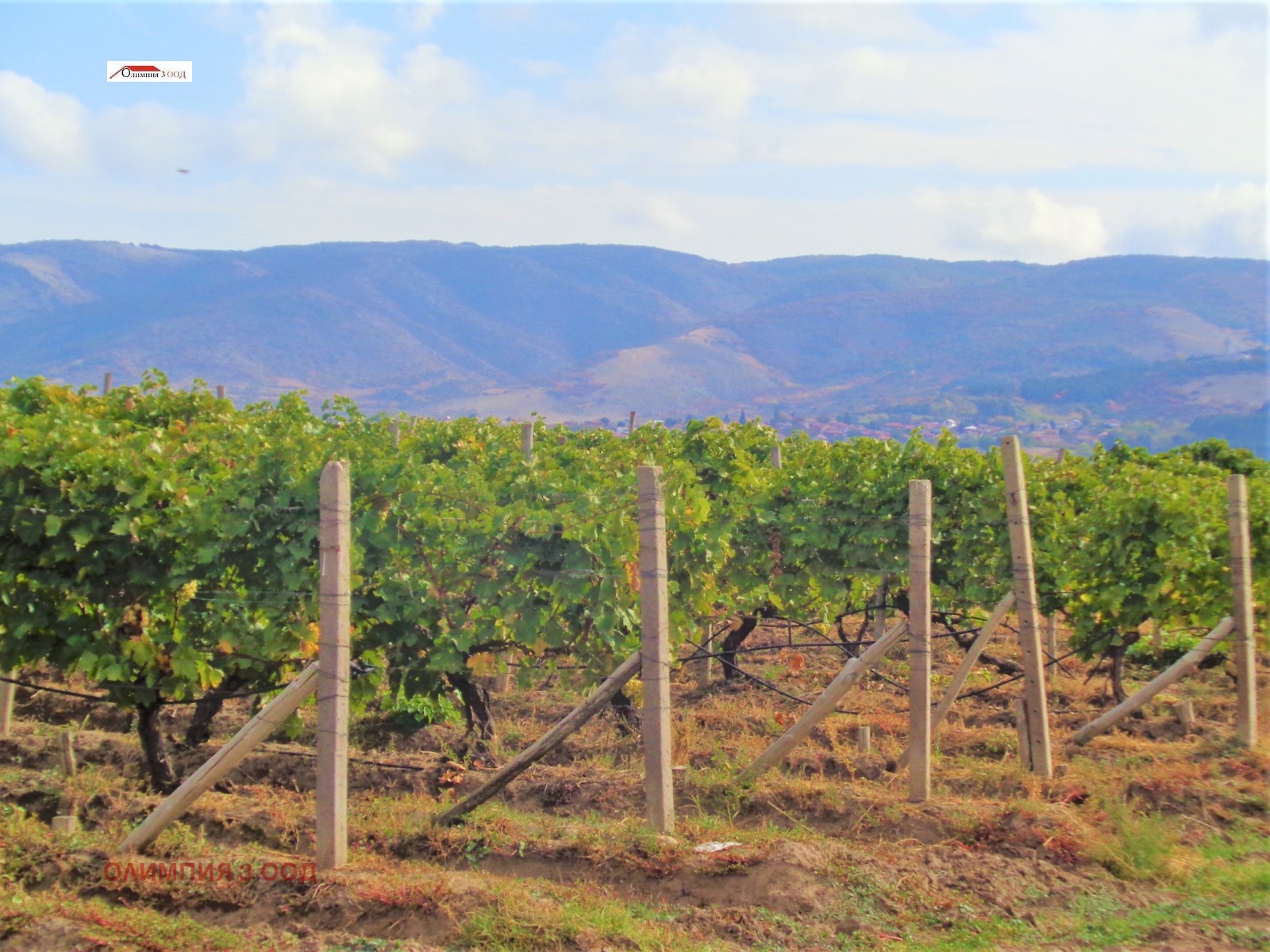 ������� ���������� ���� | Imot.bg � ����������� 3