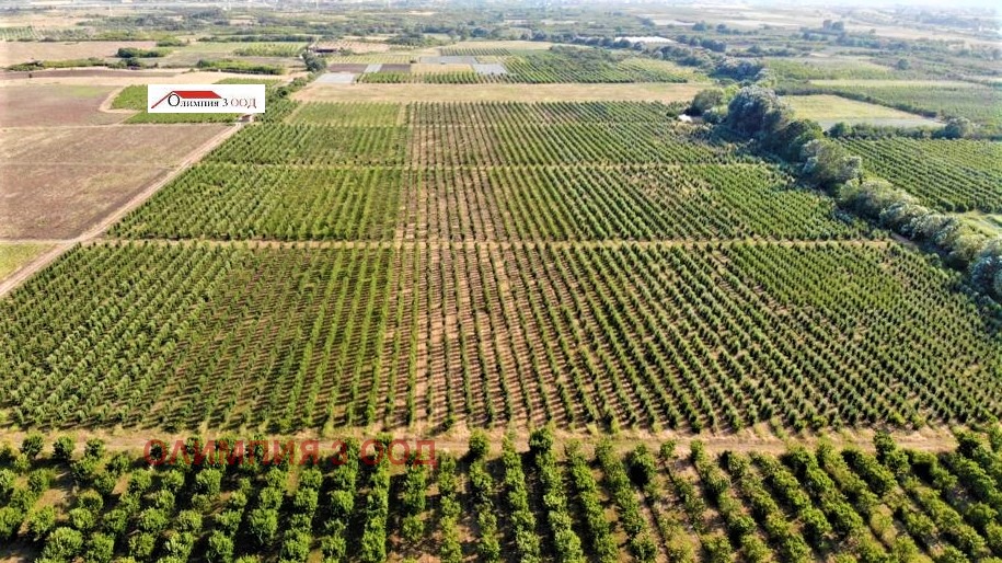 ������� ���������� ���� | Imot.bg � ����������� 1