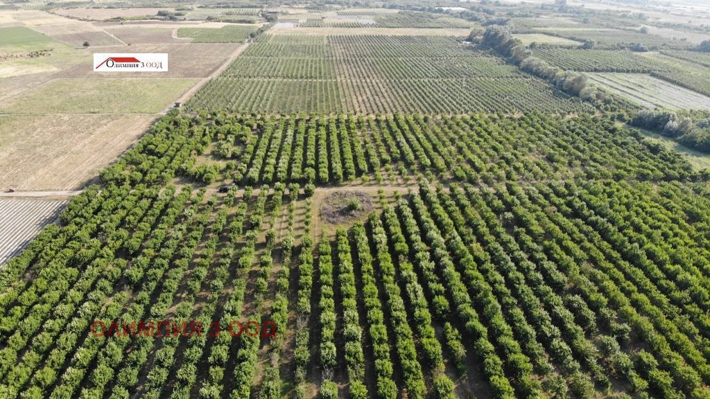 ������� ���������� ���� | Imot.bg � ����������� 13