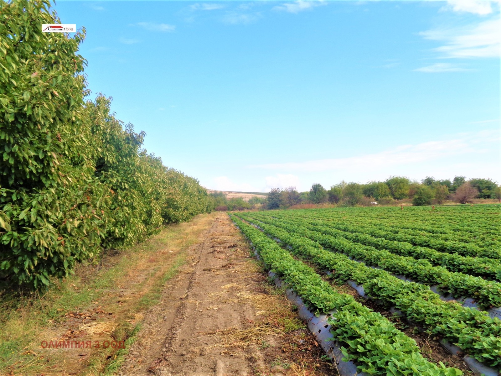 ������� ���������� ���� | Imot.bg � ����������� 9