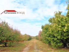 ������� ���������� ���� | Imot.bg � ����� ������ 11