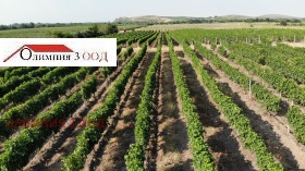 ������� ���������� ���� | Imot.bg � ����� ������ 14