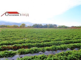 ������� ���������� ���� | Imot.bg � ����� ������ 10