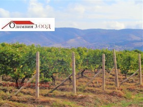 ������� ���������� ���� | Imot.bg � ����� ������ 3