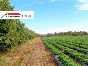 ������� ���������� ���� | Imot.bg � ����� ������ 9