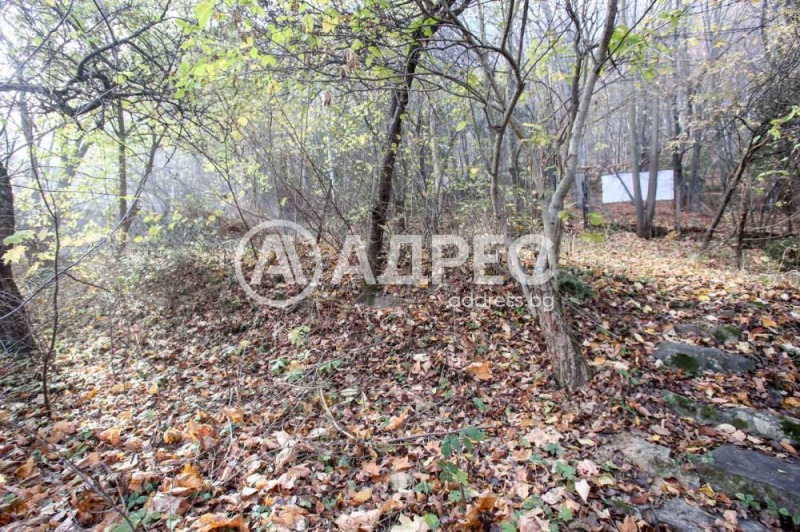 For Sale  Plot Sofia , Dragalevtsi , 1457 sq.m | 27052040