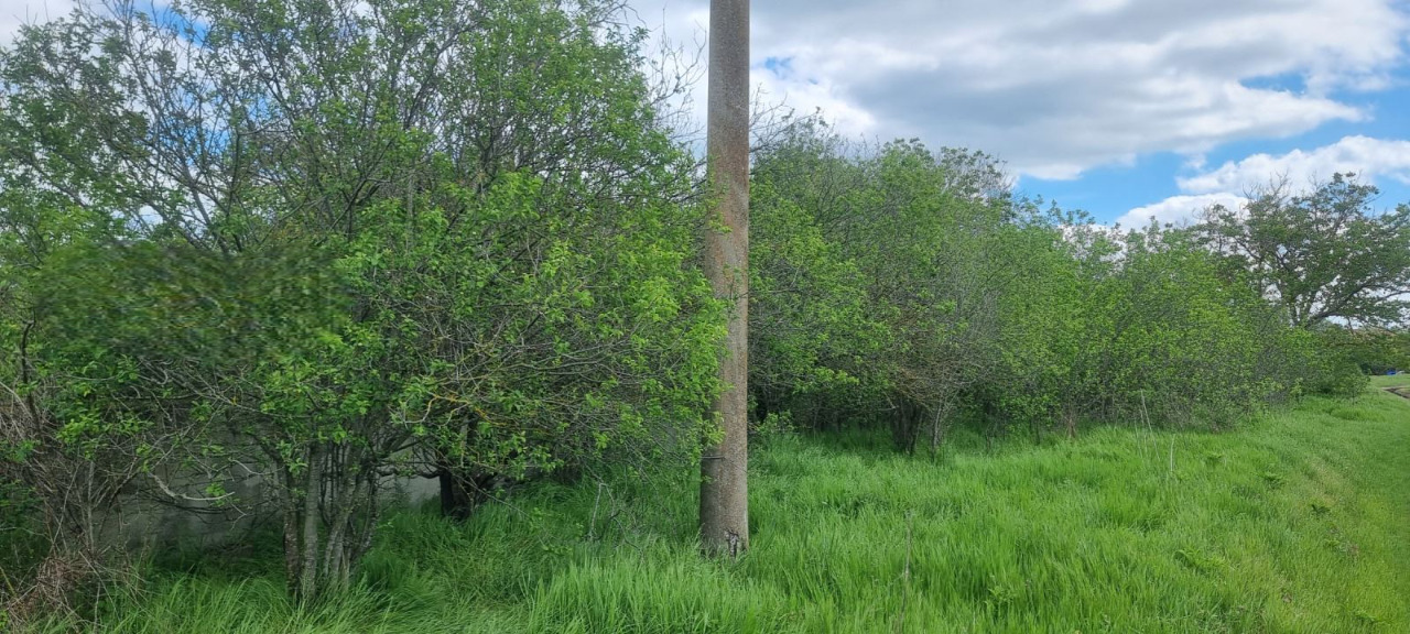 Продава КЪЩА, с. Венелин, област Варна, снимка 2 - Къщи - 52834547
