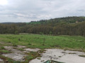 Продава ЗЕМЕДЕЛСКА ЗЕМЯ, с. Солник, област Варна, снимка 7