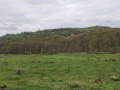 Продава ЗЕМЕДЕЛСКА ЗЕМЯ, с. Солник, област Варна, снимка 1