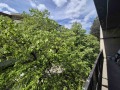 Продава 4-СТАЕН, град Стара Загора, Център • 118000 € / 230787.94 лв. • 39516481 12