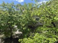 Продава 4-СТАЕН, град Стара Загора, Център • 118000 € / 230787.94 лв. • 39516481 10
