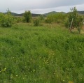 Продава ПАРЦЕЛ, област Варна, с. Аврен • 19500 € • 77927550 — Holmes.bg