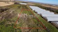 Продава ПАРЦЕЛ, с. Ивайло, област Пазарджик, снимка 4