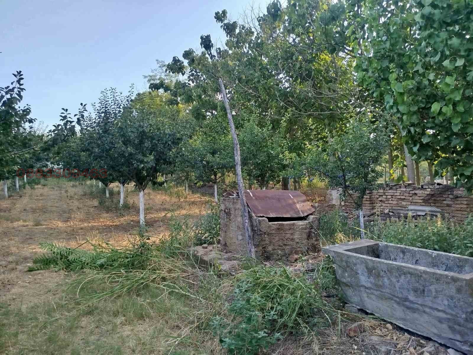 ������� ���� | Imot.bg � ����������� 6