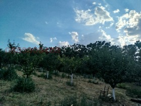 ������� ���� | Imot.bg � ����� ������ 4